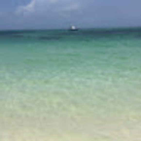 Meet your Posher, Hermella - Picture 1 of 1